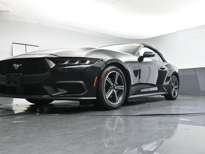 2024 Ford Mustang EcoBoost Premium