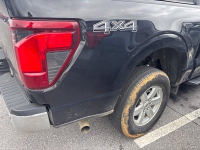 2024 Ford F-150 XL