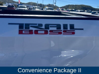 2020 Chevrolet Silverado 1500 LT Trail Boss