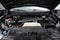 2024 Ford F-150 Raptor Twin Panel Moonroof