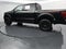 2024 Ford F-150 Raptor Twin Panel Moonroof