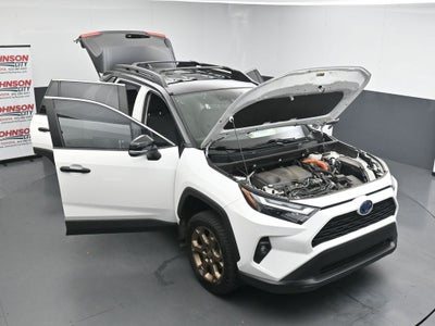2024 Toyota RAV4 Woodland Edition