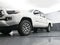 2023 Toyota Tacoma Limited V6