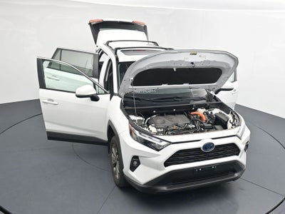 2023 Toyota RAV4 XLE Premium
