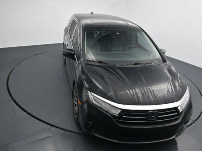 2024 Honda Odyssey Touring