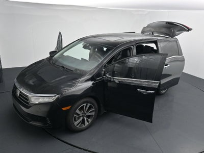 2024 Honda Odyssey Touring