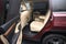 2018 Toyota Highlander Limited Platinum