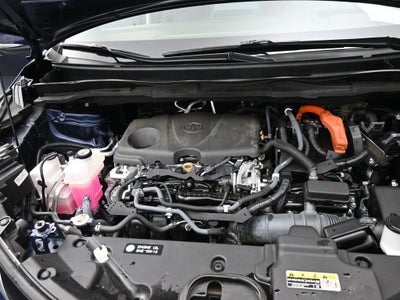 2021 Toyota Sienna Platinum 7 Passenger