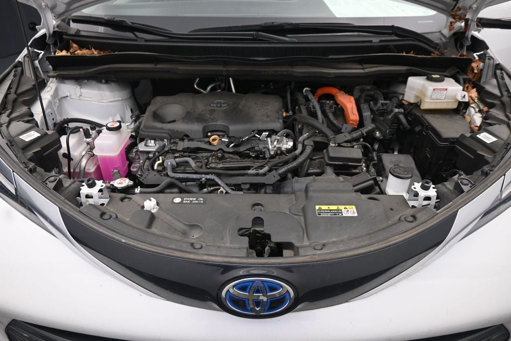 2024 Toyota Sienna Limited 7 Passenger