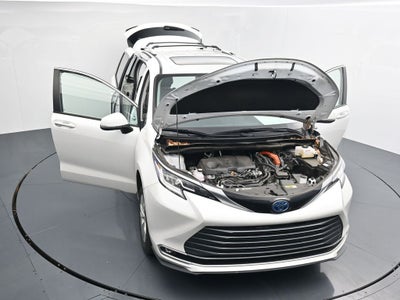 2024 Toyota Sienna Limited 7 Passenger