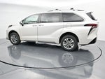2024 Toyota Sienna Limited 7 Passenger