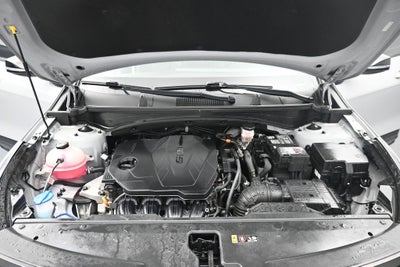 2023 Kia Sportage X-Pro