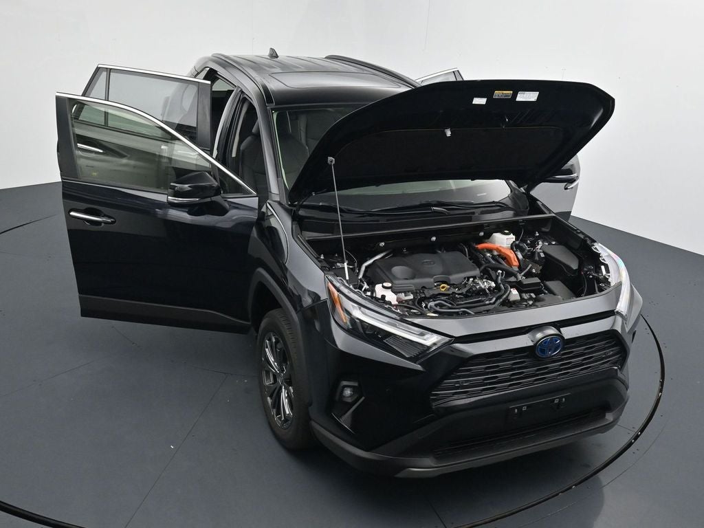 2024 Toyota RAV4 Limited