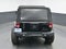2016 Jeep Wrangler Black Bear