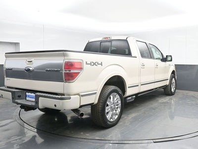2009 Ford F-150 Platinum
