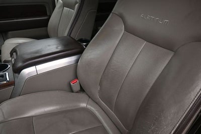 2009 Ford F-150 Platinum