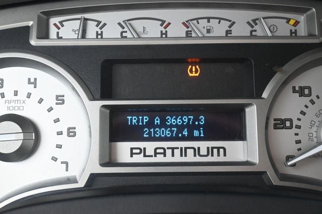 2009 Ford F-150 Platinum