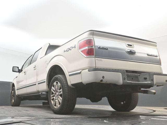 2009 Ford F-150 Platinum