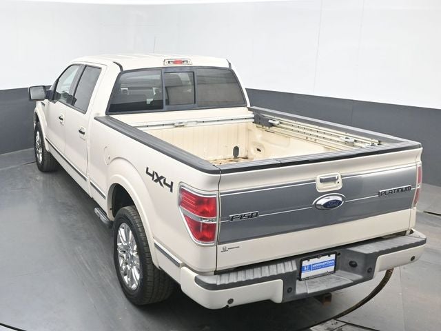 2009 Ford F-150 Platinum