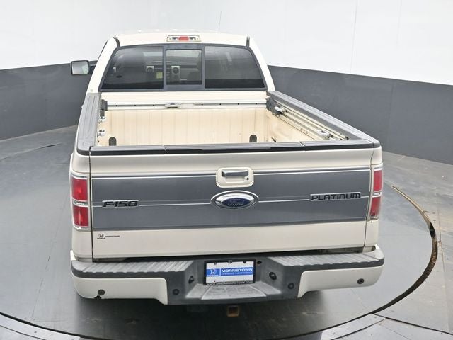 2009 Ford F-150 Platinum