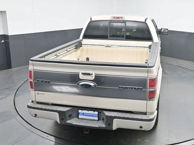 2009 Ford F-150 Platinum