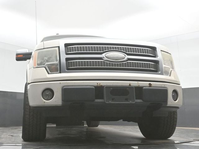 2009 Ford F-150 Platinum