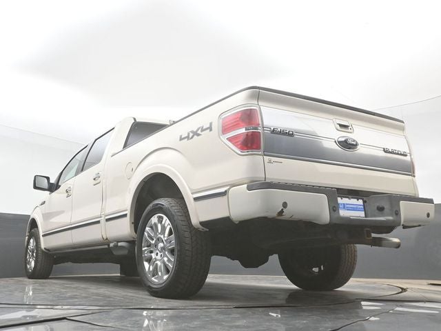 2009 Ford F-150 Platinum