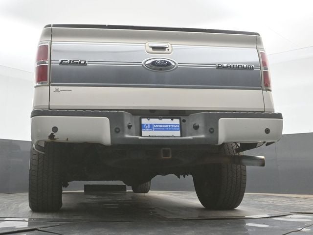 2009 Ford F-150 Platinum