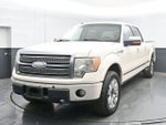2009 Ford F-150 Platinum