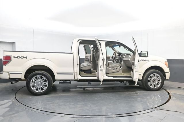 2009 Ford F-150 Platinum