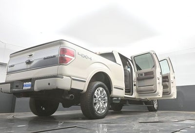 2009 Ford F-150 Platinum