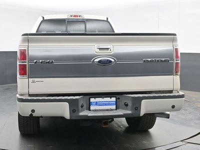 2009 Ford F-150 Platinum