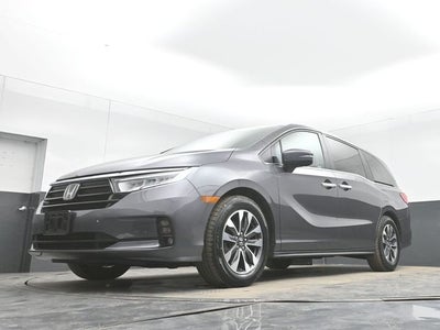 2024 Honda Odyssey EX-L
