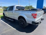 2013 Ford F-150 Platinum