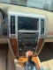 2008 Cadillac STS V8