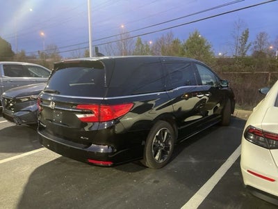 2023 Honda Odyssey Elite
