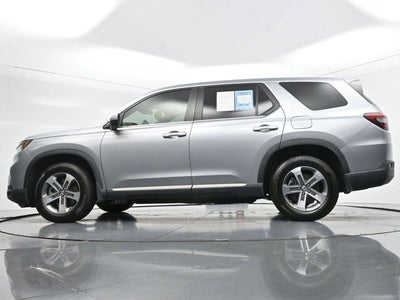 2024 Honda Pilot EX-L 8 Passenger