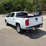 2019 Chevrolet Colorado 4WD Work Truck